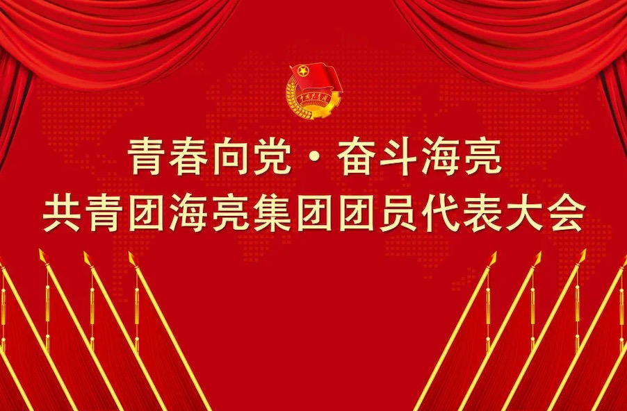 青春向党 · 奋斗金年会澳门6766网站net丨共青团金年会澳门6766网站net有限公司团员代表大会召开